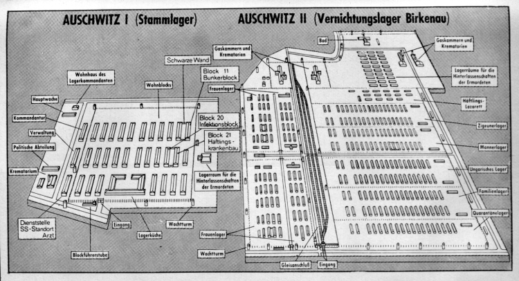 Auschwitz Plan 